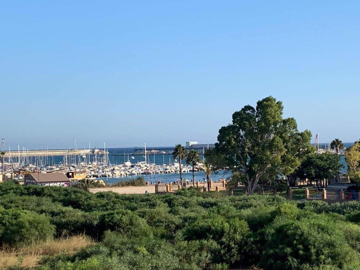 Sea View Torrevieja Lägenhet Exteriör bild